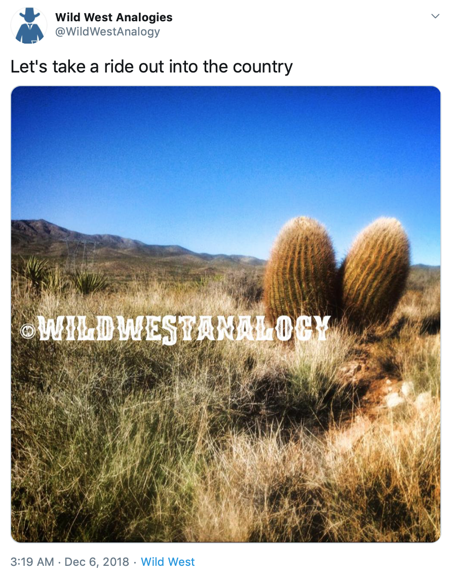 Wild West Analogy Twitter bot